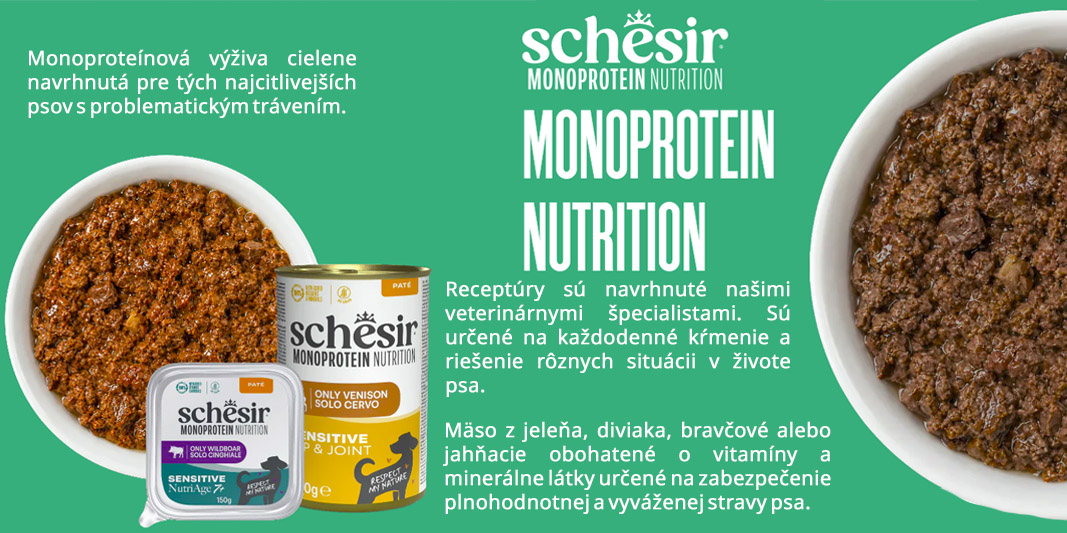Schesir monoprotein dog banner